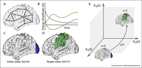 Diagram showing brain network dynamics from an initial to a target state